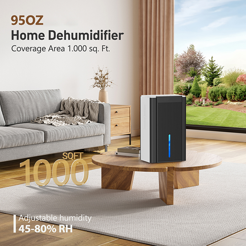 CT11 black and white